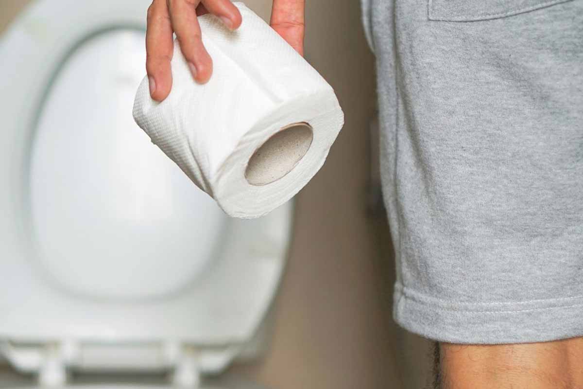 toilet paper alternative